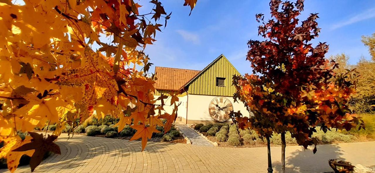 Pajta Apartman Es Vendeghaz Tata Bagian luar foto